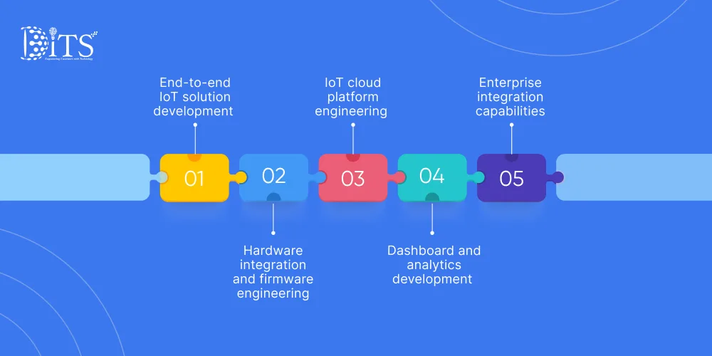 How DITS Helps Businesses Create IoT Applications